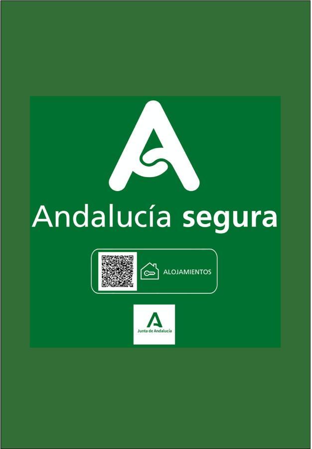 Appartamento Holidays2malaga Heredia 3 Bedroom Opposite Port Málaga